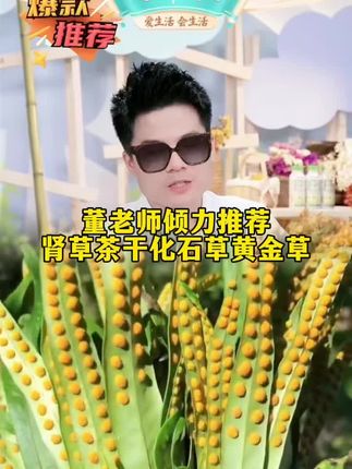 董老师强烈推荐肾草茶干化石草黄金草黄金草茶长白山深山小草嗽嗽叫茶搭百合泡水#董老师推荐 #肾草茶 #肾精茶 #黄金草 #嗷嗷叫