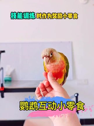 鹦鹉有多爱吃麻子?看这个小眼神就知道,就等着你给他喂了。平时捏几颗手绘一下,建立信任,增进感情,既能长膘美毛,还可以训练上手亲人,挺不错的。#鹦鹉 #鸟粮#纸壳麻子#鹦鹉日常 #鹦鹉鹦鹉萌萌哒逗鹦鹉
