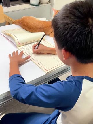 暑假初学练字的小朋友从哪里入手?当然是基础笔画了,笔画是基础,笔画掌握了,字也就写得工整又漂亮!#每日一练#基础笔画#暑假鍄字