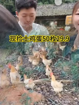 旺鲜田50枚精品谷物散养蛋农家笨鸡蛋 单枚45±5克 净重2100克#鸡蛋 #土鸡蛋 #好吃有营养 #好物分享#唐三妹@DOU+小助手