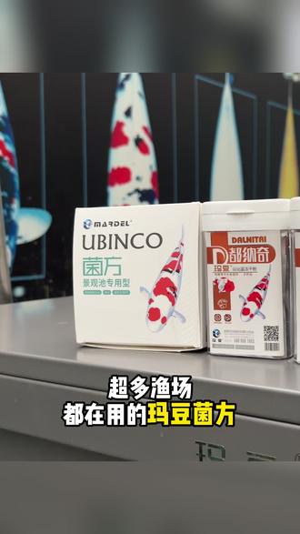 超多渔场都在用的玛豆菌方,你试过吗? #锦鲤鱼池 #花园庭院锦鲤池 #玛豆菌方 #锦鲤渔场
