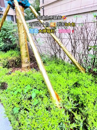 #超便宜超划算 #洁柔 #洁柔纸巾 #囤纸 #自用好物