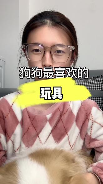 豆包最喜欢的玩具就是那个臭鸭子#狗狗 #养狗人 #狗狗鸭子玩具 #狗狗玩具