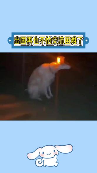 出国再也不怕交流困难了! #千问爽文大女主 #阿里千问#xy