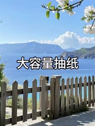 #抽纸
