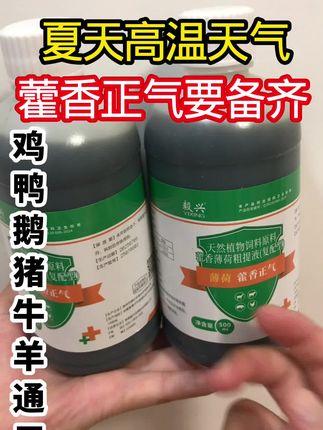 #养殖#养鸡#鸡鸭鹅养殖#土鸡#三农