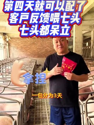 #所有养猪人 #养猪人加油干 #养猪人不容易 #养猪#自繁自养