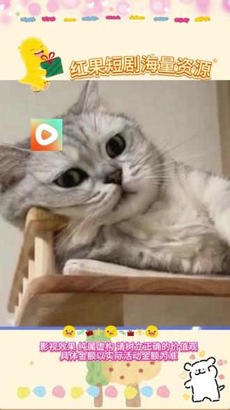 #红果短剧 #你的短剧搭子