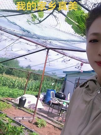 #有机种植 #绿色蔬菜 #一份耕耘一份收获