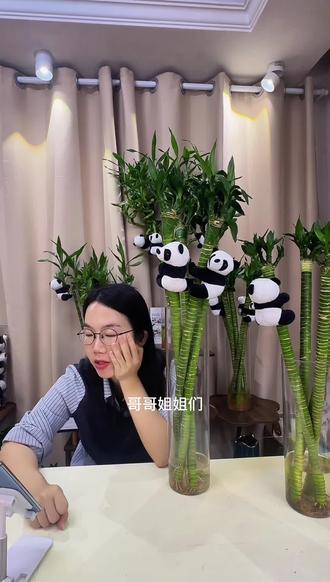 文昌竹龙竹带根好养水培学生桌面护眼办公室卧室书房书桌送营养液#文昌竹#水培植物#净化空气#龙竹 #桌面植物