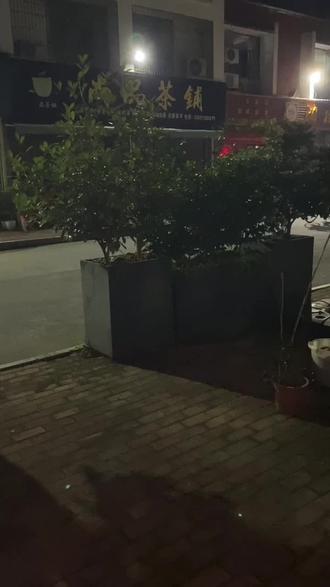 打油诗一首:
《五二零、吟诗一首》:
茶都路灯透通明,
夜晚冷静无行人,
莫非格外有趣事,
才悟今日五二零!
2026年5月20日晚饮茶有感