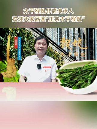 猴坑太平猴魁,中华老字号,来自太平猴魁核心产区,选料讲究,匠心工艺,外形魁伟壮实,口感甘醇,兰香高爽,回味悠长,欢迎茶友们品鉴。#太平猴魁 #猴坑太平猴魁 #带货馆 #今天你喝茶了吗