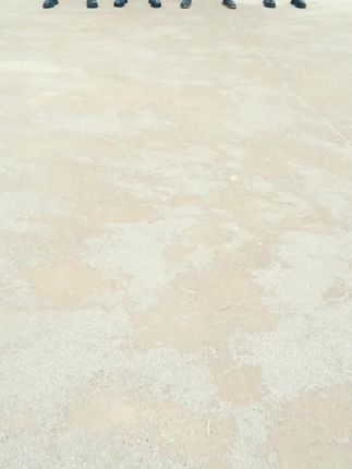 下次我们会跳的更好!🤭🤭🤭
