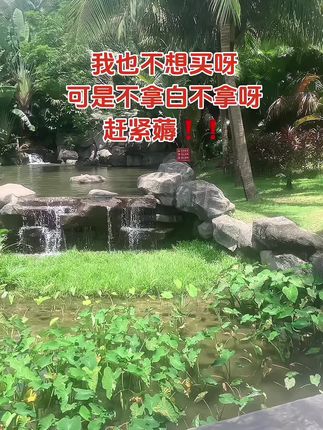 #数据线 #充电器 适用华为超级快充#出差旅行必备