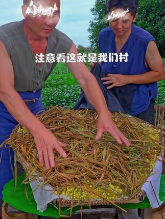 自己在家发豆芽,好吃健康还简单,每天都能吃到新鲜的豆芽