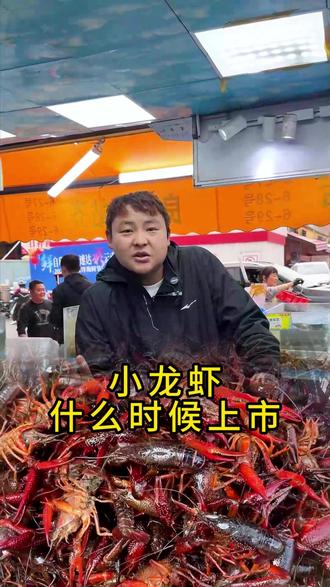 爱吃小龙虾的宝子们大家再等一等! #良丰一站齐 #海鲜批发 #小龙虾 #龙虾季 #小龙虾批发