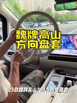 25款魏牌高山789方向盘直套四季防滑专用方向盘把套改装配件#幸福本真 #关于成长的句子 #生活圆满 #深圳正能量