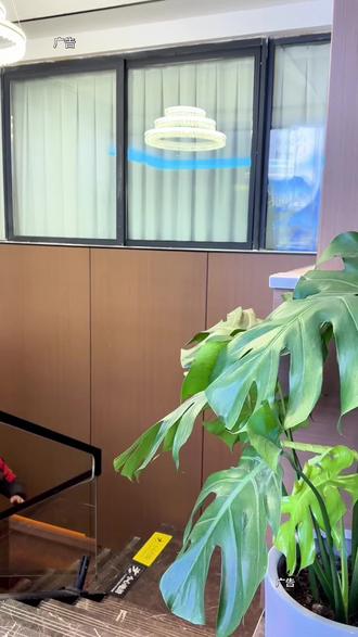 天呀,八十几分钟才八十几块钱新店预售内卷足道…先囤了 #按摩spa#放松解压 #荆州团年宴消费券火热报名中 #荆州你好 #要探店找你好