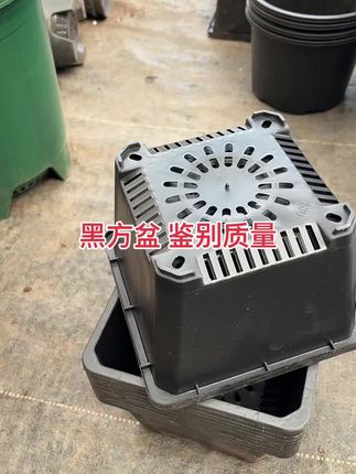 180黑方加厚耐用#一首热门歌曲 #绿色养殖 #多肉植物 @抖音小助手 @@