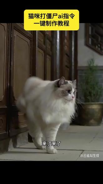 猫咪打僵尸ai教程 猫咪打僵尸ai效果 猫咪打僵尸大片ai指令 猫咪打僵尸ai制作 ai特效打僵尸 猫咪打僵尸效果 猫咪僵尸ai ai打僵尸 #猫咪打僵尸ai #小云雀AI #小云雀爆款马上成片 #小云雀seedance #芯有云雀创作飞跃