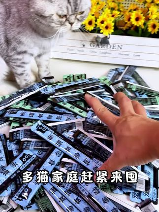 #迈路士猫条 #猫条 #养宠 #视频同款#宠物猫条