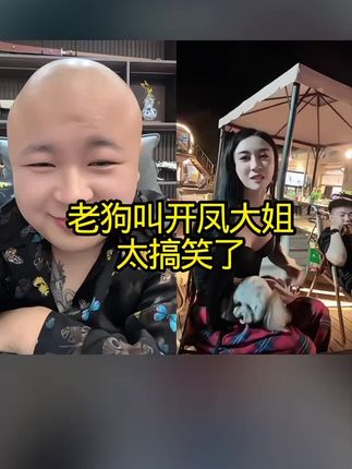 老狗叫开凤大姐 #搞笑