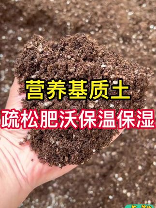 营养土通用型品牌种菜专用花土花肥土壤种植土月季盆栽泥土大包土#营养土 #营养土通用型 #有机营养土 #营养土壤 #有机营养土通用型
