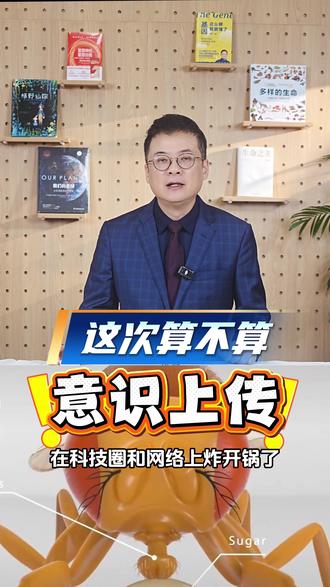 人类离“上传自己”只差几只果蝇了?马斯克都看呆!赛博果蝇知道屏幕外面的我们吗?#赛博果蝇 #意识上传 #万法唯心造 #马斯克