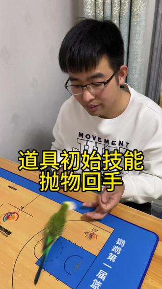 鹦鹉想学道具技能必须先会抛物回手#鹦鹉训练 #鹦鹉训练教程 #鹦鹉日常 #鹦鹉鹦鹉萌萌哒逗鹦鹉 @DOU+小助手