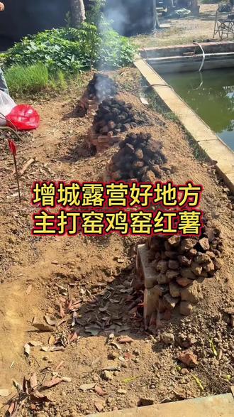 增城露营好地方,主打窑鸡窑红薯#增城吃喝玩乐 #广州增城 #增城露营 #窑鸡 #窑鸡制作全过程