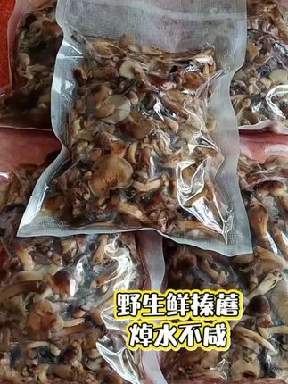 #快来一起尝个鲜 #野生鲜榛蘑#菌子的季节 #太好吃了 #产地直发