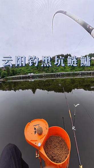 黑坑回锅鲢鳙水层到底怎么找?接着视频往下看#慌都不慌 #黑坑鲢鳙