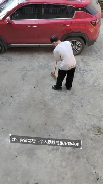 炸牛粪炸的到处都是,被制裁了#本村最靓的狗 #农村趣事 #二响炮 #过年炸牛粪的下场