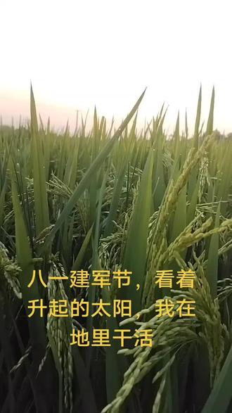 东方红太阳升#八一建军节