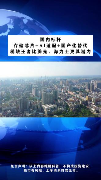 国内标杆!存储芯片+AI适配+国产化替代 #财经 #股票