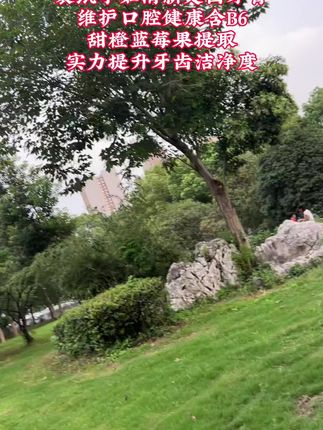 袋鼠孕妇清新牙齿牙膏 益生菌护齿配方
