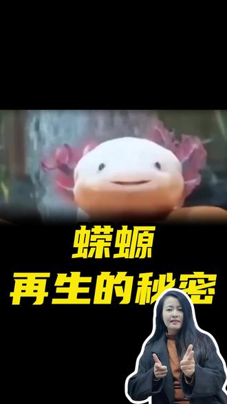 六角恐龙 蝾螈再生的秘密#蝾螈#六角恐龙#永生