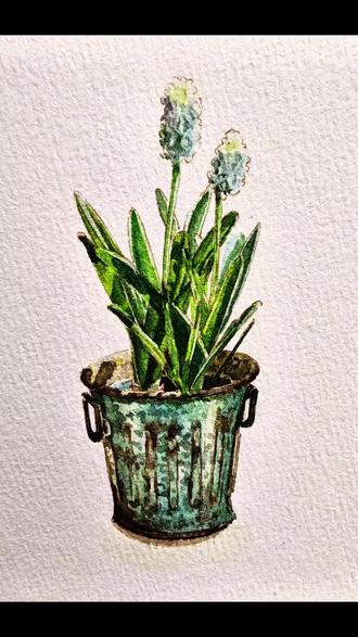 水彩手绘风信子🪻从线稿到上色,1分钟拥有春日氛围感🌿#水彩 #水彩教程 #绘画 #水彩花卉 #抖音上热门