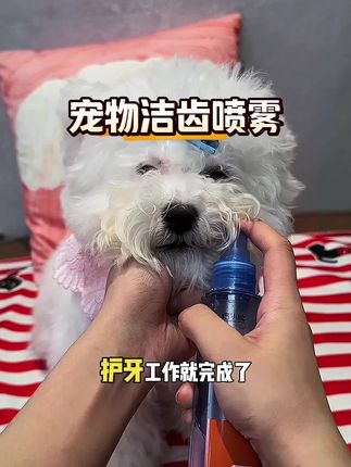 猫狗嘴巴臭异味大,用这个洁齿喷雾一招解决宠物口腔问题 #宠物好物推荐 #宠物用品 #科学养宠攻略 #萌宠好物 #口腔喷雾推荐