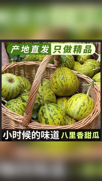 山东头茬香瓜新鲜水果脆甜产地现采摘直发 #新鲜水果 #香瓜 #生鲜直发 #时令水果 #产地直供