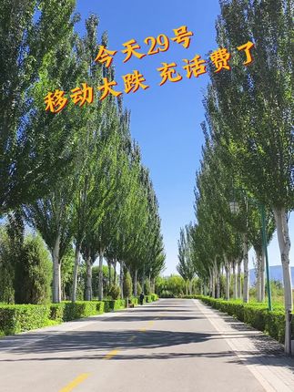 移动大跌充话费,不充,你就亏啦#省钱攻略#好物推荐🔥 #上热门话题🔥 #话费