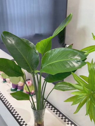 #穿搭#小个子穿搭#夏季穿搭#显瘦穿搭#裤子