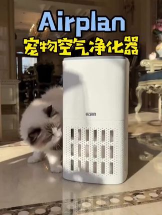 这台宠物空气净化器是被资本做局了吧?什么毛发什么异味都吃啊#airplan空气净化器 #空气净化器 #宠物 #宠物空气净化器评测