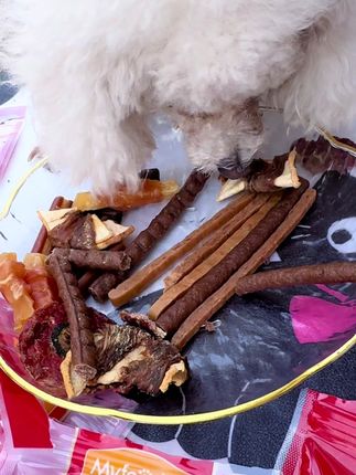 麦富迪你是疯了吗?到手这么一大箱狗狗零食才两位数,一箱里就有十款他家热卖的零食,到手十包足足一千两百克,这分量之大,让小狗吃到怀疑狗生。原料干净大肠品质可以放心吃狗。我吃的辣椒,一个嘎嘎香,根本停不下来,都不知道什么时候活动会结束。这么一大堆,够小狗吃小半年了吧?趁活动还在,大家抓紧薅。#麦富迪 #麦富迪零食大礼包 #麦富迪零食 #麦富迪零食冻干