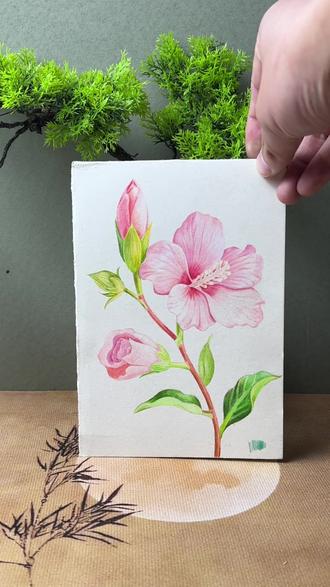 彩铅精讲课程17讲,彩铅粉色小花 #彩铅 #彩铅手绘 #彩铅教程 #零基础学画画