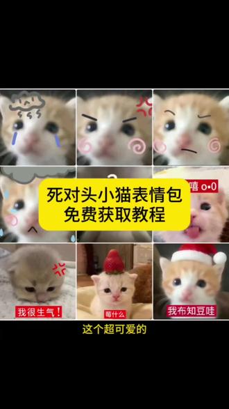 死对头小猫表情包获取教程来啦#死对头小猫 #死对头小猫表情包 takeru猫在微信怎么搜 死对头小猫微信怎么搜 takeru猫表情包微信关键词 #剪映 #takeru猫咪表情包 死对头表情包叫什么 死对头小猫微信搜图教程 死对头小猫微信原图 死对头小猫微信表情包 死对头表情包叫什么名字 死对头小猫 死对头小猫微信名推荐 死对头猫meme表情包 死对头小猫微信壁纸 #meme猫表情包 小猫死对头表情包原图 死对头表情包小猫微信上怎么获得 死对头小猫微信搜索方法 死对头小猫无水印原图 小猫死对头图片 死对头小猫微信表情包
