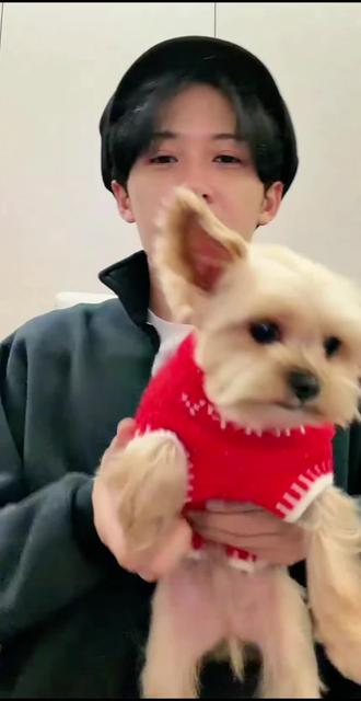 祝大哥和呆球除夕快乐❤🎉#檀健次 #拍出爱笑的你