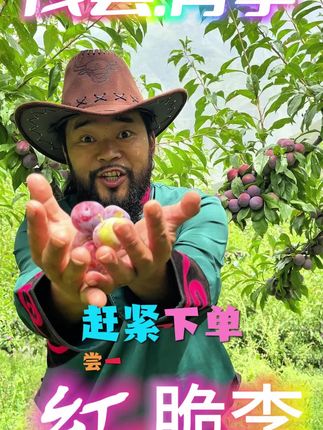 #优质农产品 #茂县#红脆李 #新鲜采摘 #抖音新农人 需要的朋友们👇下方小黄车下单 脆甜可口 口感没得说👍