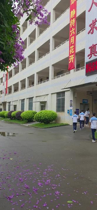 清晨六点半的阳春五中,风雨褪去,元气归来。
