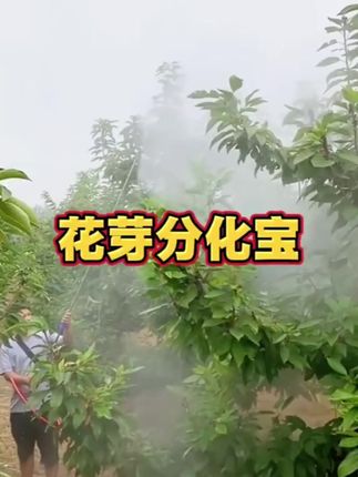 【正品】花芽分化宝叶面肥果树蔬菜通用增收丰产农资肥料厂家批发#干货分享#好物推荐#家用好物 #自用好物#推荐购买